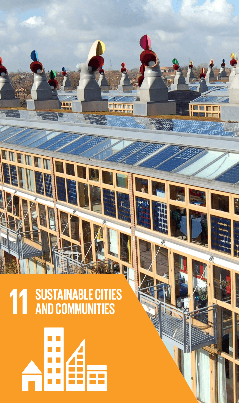 SDG 11 SDG 11