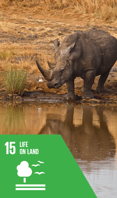 SDG 15 SDG 15