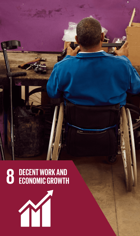 SDG 8 SDG 8